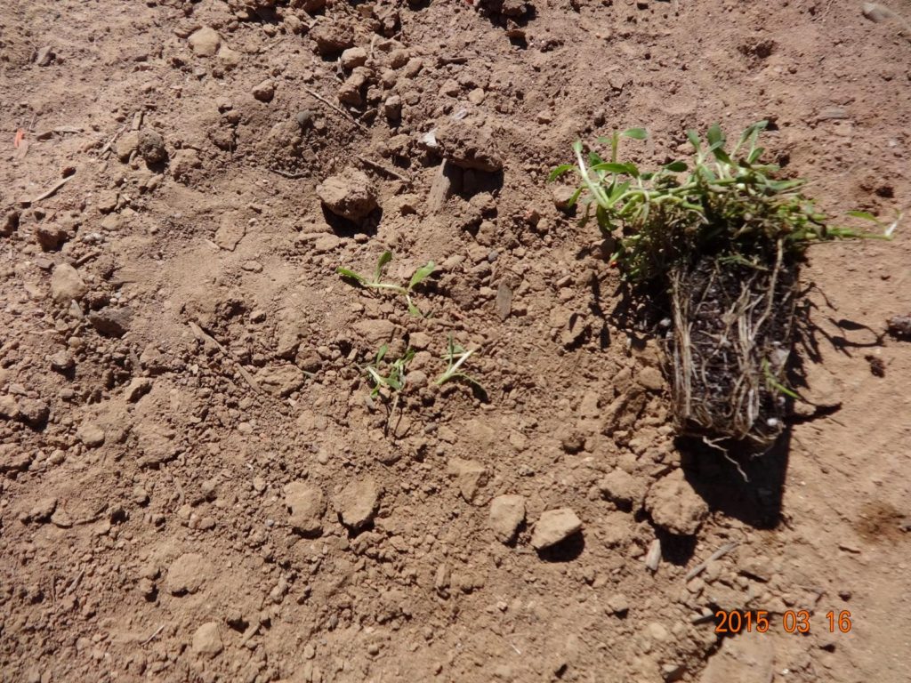 DSC02006