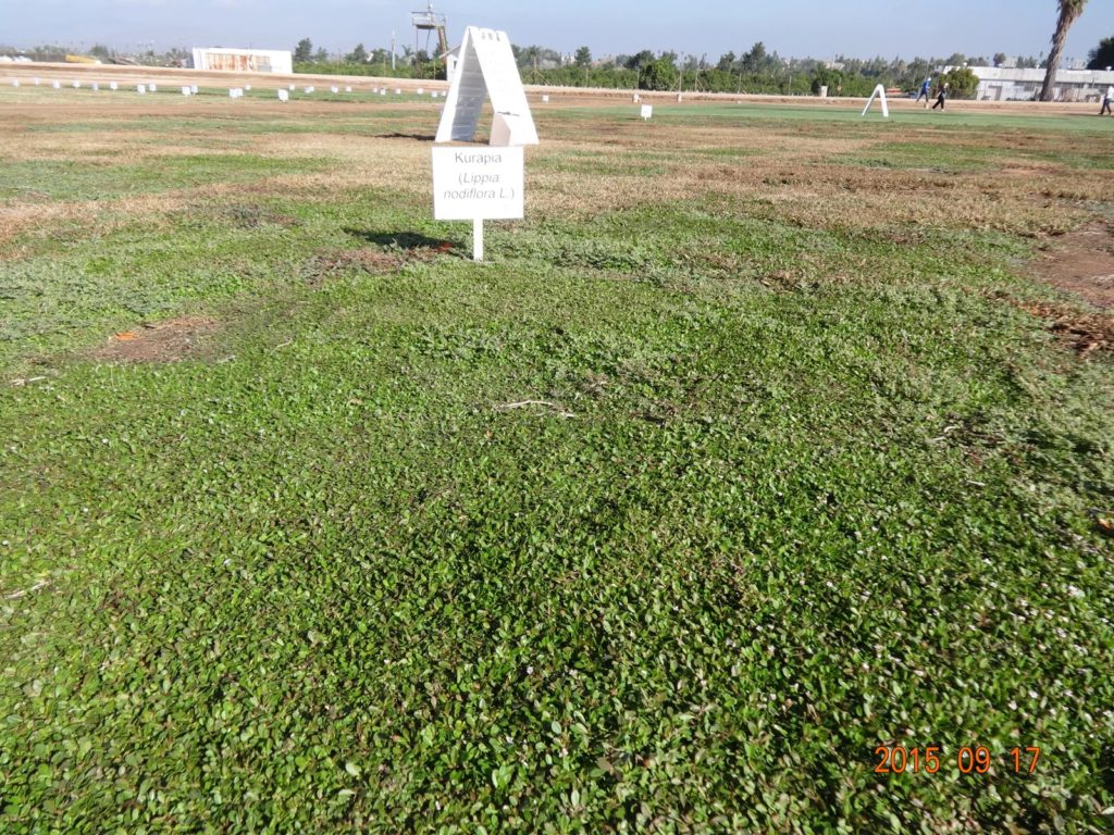 DSC02828