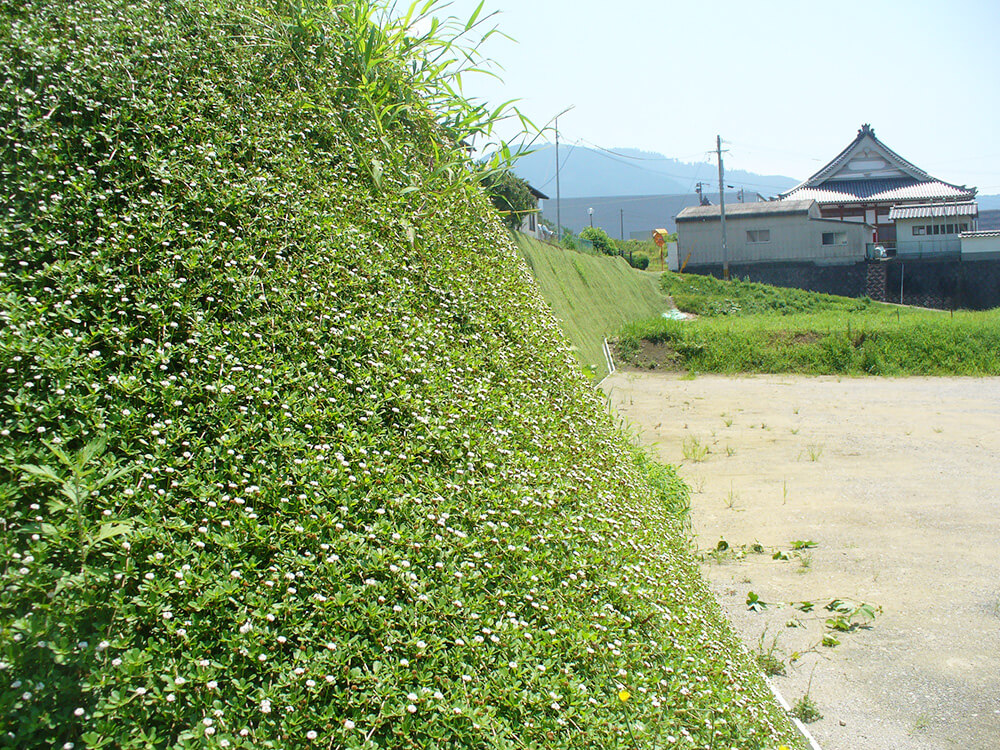 Fukuoka, Japan