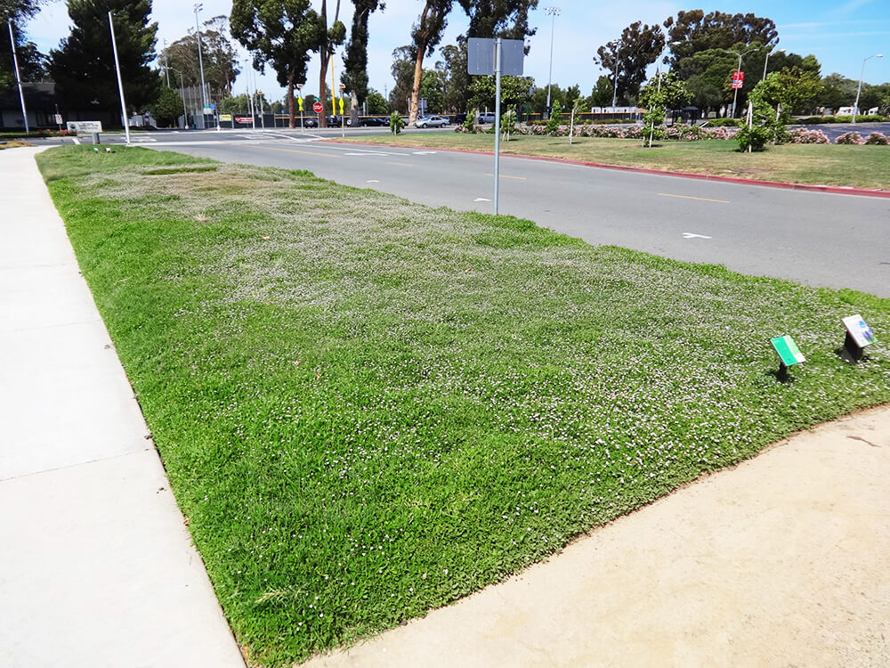 City of Pittsburg, CA, USA