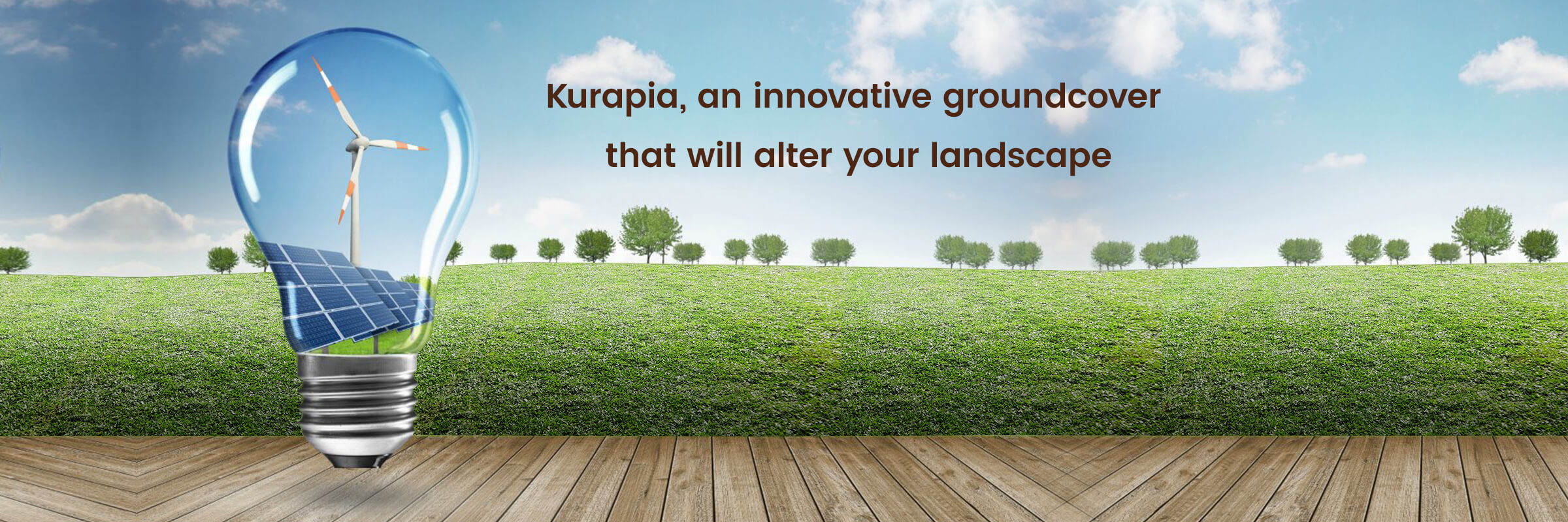 Kurapia, an innovative groundcover that will alter your landscape