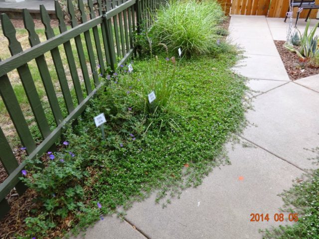 DSC01258