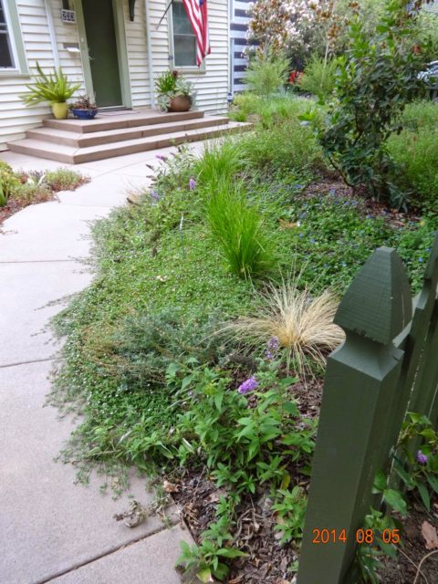 DSC01259