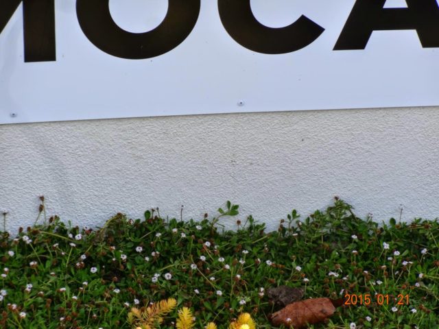DSC01769