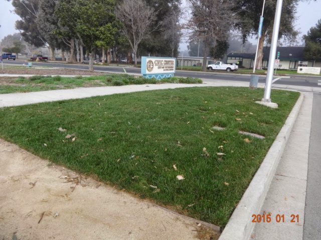 DSC01804