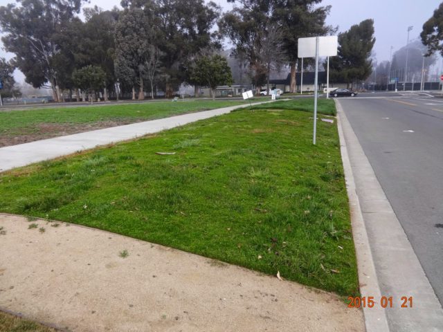 DSC01813