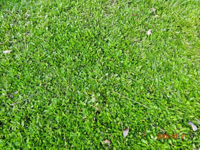 DSC01825