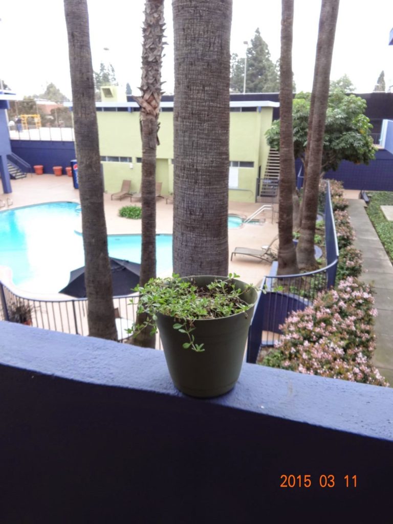 DSC01950