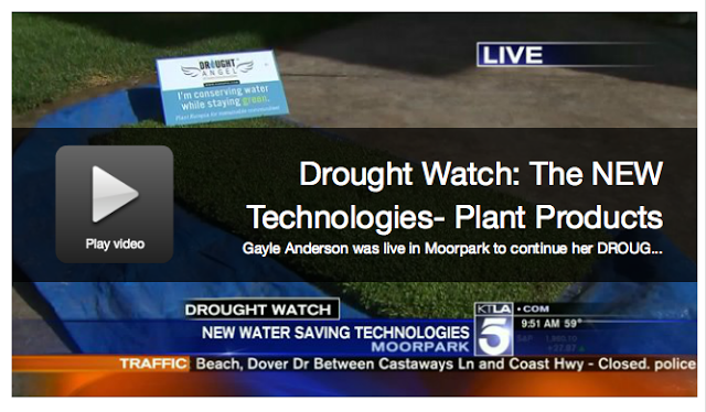 DROUGHT WATCH The New Plant on KTLA